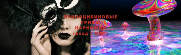 соль ск Алексин