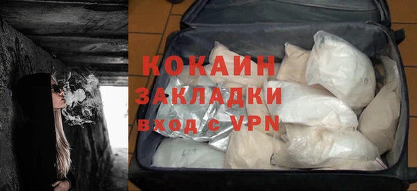 соль ск Алексин