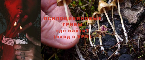 соль ск Алексин